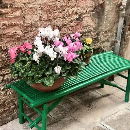 Garibaldi * Venecia